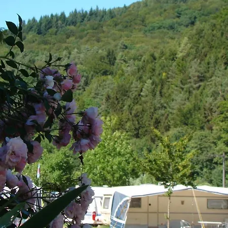 Wies-neu مكان تخييم