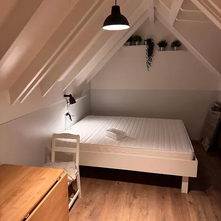 Wies-neu * Dillingen