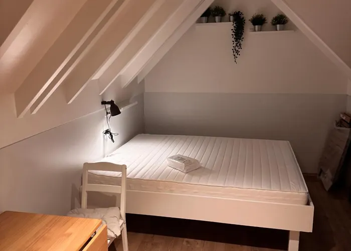 Wies-neu * Dillingen